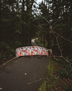 Recycled Canvas Collars